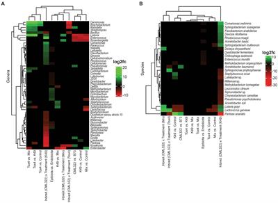 Microbiota of maize kernels as influenced by Aspergillus flavus infection in susceptible and resistant inbreds